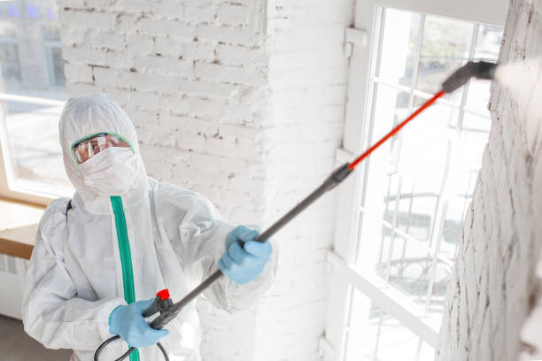 Best Crawl Space Mold Remediation  in Bridgeport, NE
