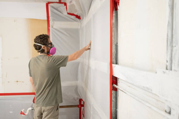 Professional Mold Removal in Bridgeport, NE