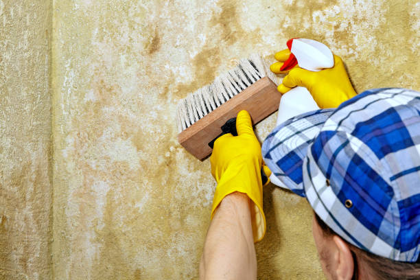 Best Air Quality Testing for Mold Spores  in Bridgeport, NE
