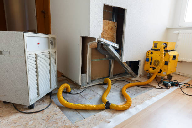 Best Mold Removal for HVAC Installations  in Bridgeport, NE