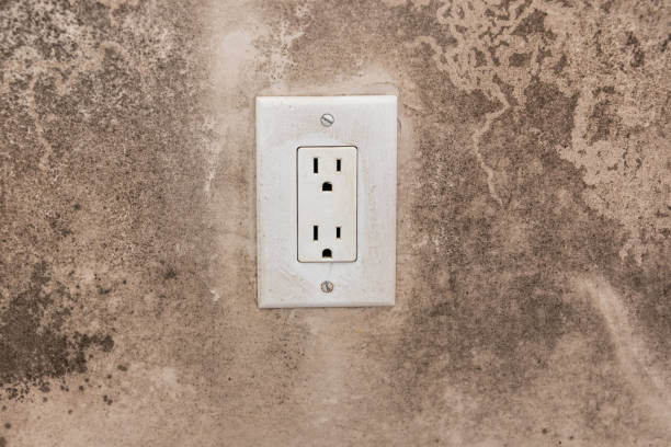 Best Forensic Mold Investigation  in Bridgeport, NE