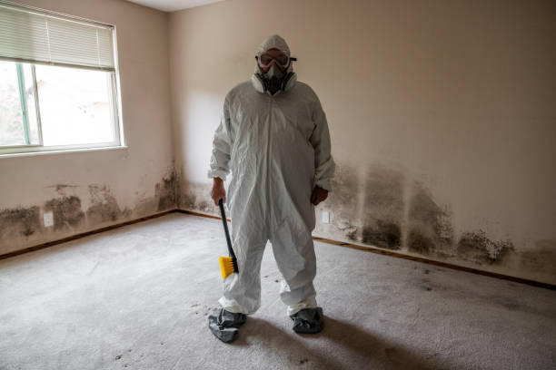 Best Mold Documentation for Insurance Claims  in Bridgeport, NE